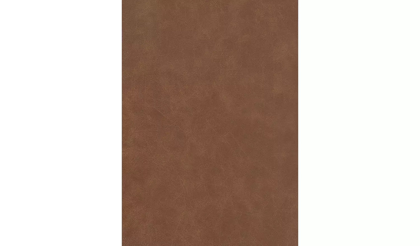 Pair of Faux Leather Dining Chair - Tan