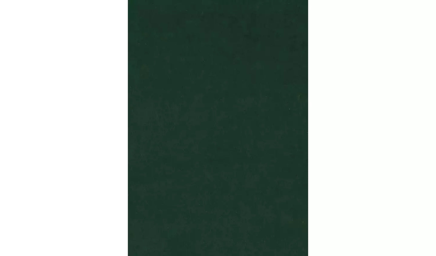 Habitat Chesterfield Velvet Armchair - Green